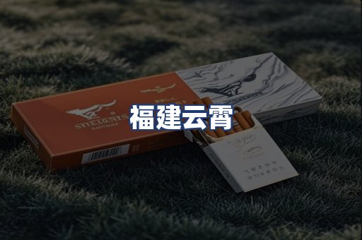 福建云霄